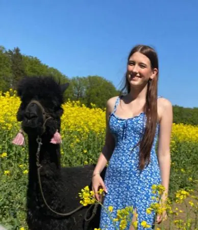Alpacasa Buchholz in der Nordheide