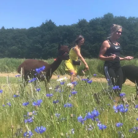 Hébergement de vacances Alpacasa