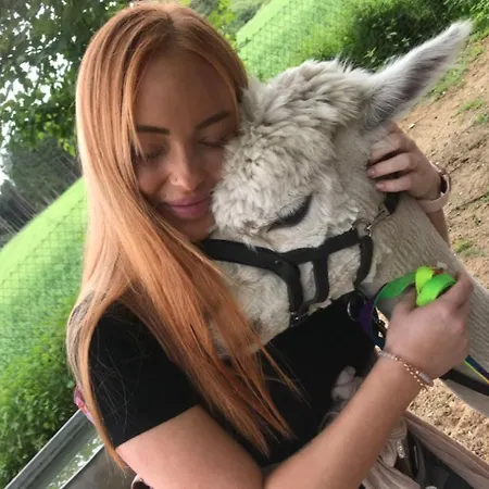 Alpacasa Дом отдыха