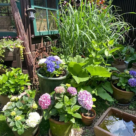 Alpacasa 펜션 부흐홀츠 인 데어 노르트하이데