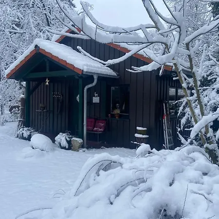 Alpacasa Buchholz in der Nordheide